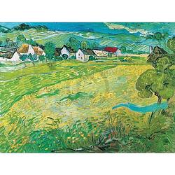 Foto van Vincent van gogh - sonnige wiese bei auvers, 1890 kunstdruk 80x60cm