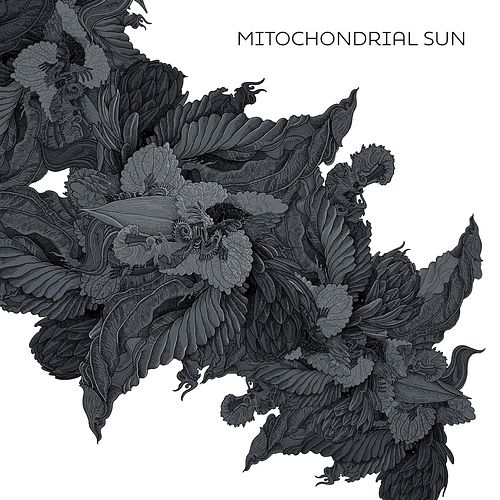 Foto van Mitochondrial sun - lp (8076700121200)