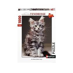 Foto van Puzzle n 1000 p - het maine coon kitten