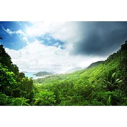 Foto van Spatscherm seychellen jungle - 80x60 cm