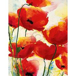 Foto van Heidi reil - roter mohn kunstdruk 70x90cm