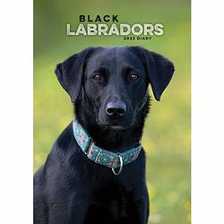 Foto van Labrador retriever agenda 2023