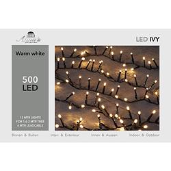 Foto van 2 stuks led ivy 500l/12m warmwit 4m aanloopsnoer zwart/ip44 anna'ss collection