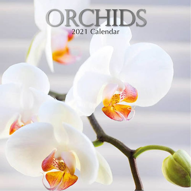 Foto van Comello wandkalender 2021 orchideeën 30 cm papier