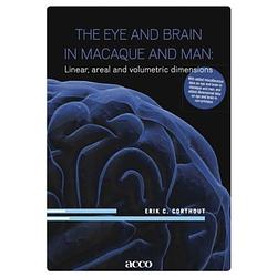 Foto van The eye and brain in macaque and man