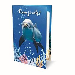 Foto van Uitnodigingen animal planet pk 898 dolfijnen / 6x3,95 - fsc mix credit - paperback (8712048316624)
