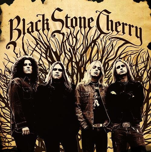 Foto van Black stone cherry - cd (0016861808624)