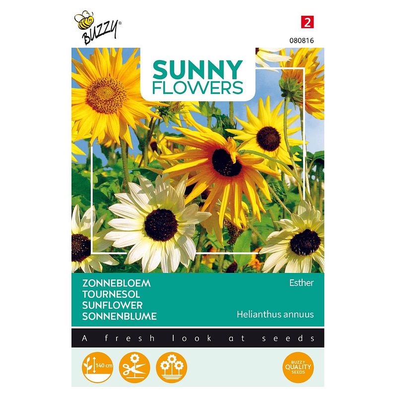 Foto van 3 stuks sunny flowers esther