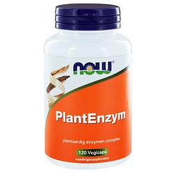 Foto van Now plant enzym capsules 120st
