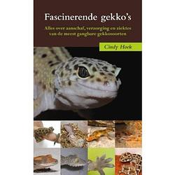 Foto van Fascinerende gekko's