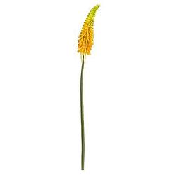 Foto van Kunstbloem kniphofia - geel - 85 cm - leen bakker