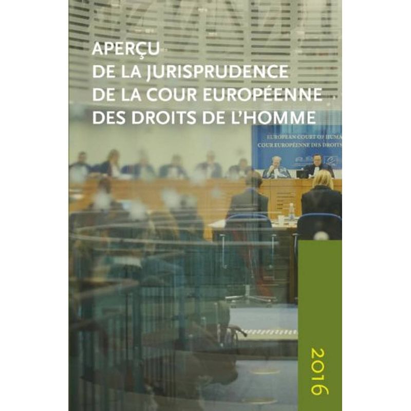 Foto van Aperçu de la jurisprudence de la cour 2016