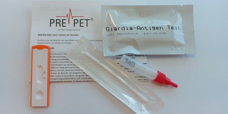 Foto van Testjezelf.nu pre-pet giardia darm parasieten test