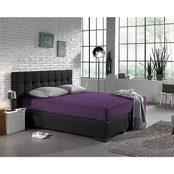 Foto van Dreamhouse bedding hsl hc jersey 135 gr. purple 190/200x200