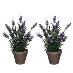 Foto van 2x groene lavandula lavendel kunstplanten 33 cm met grijze pot - kunstplanten