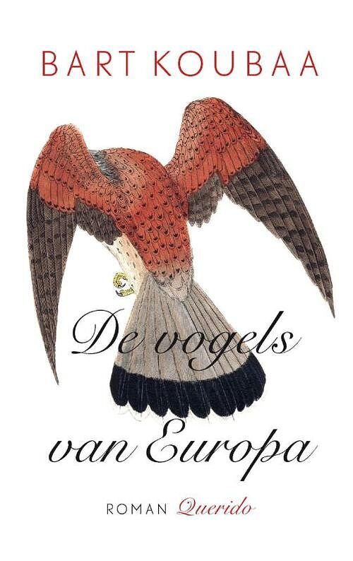 Foto van De vogels van europa - bart koubaa - ebook (9789021456041)