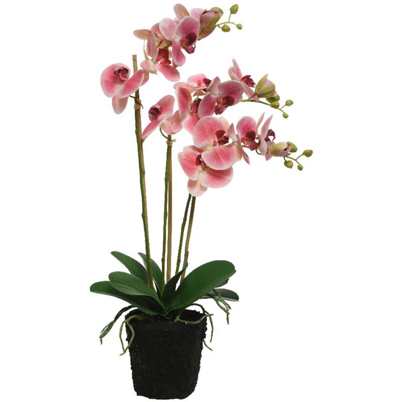 Foto van Roze orchidee kunstplanten/planten in pot 62 cm - kunstplanten/nepplanten - kantoorplanten/woonkamer planten