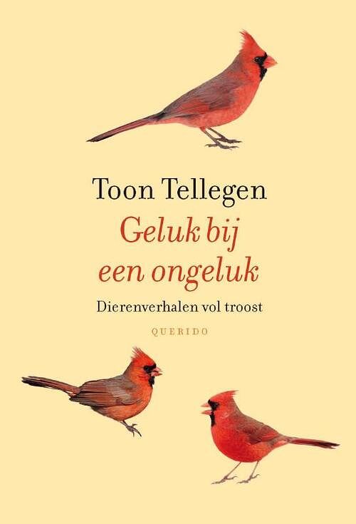 Foto van Geluk bij een ongeluk - toon tellegen - ebook (9789021455259)