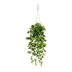 Foto van Kopu® hangplant philodendron 75 cm - macramé plantenhanger met pot