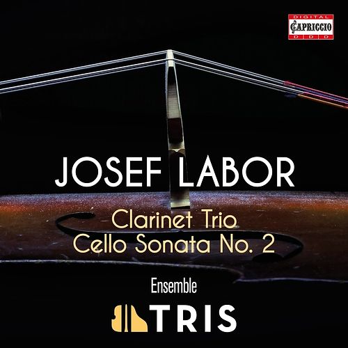 Foto van Clarinet trio - cello sonata no. 2 - cd (0845221054469)