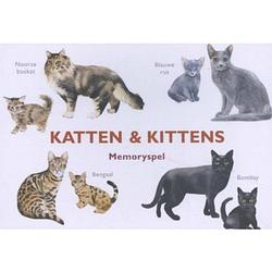 Foto van Katten & kittens