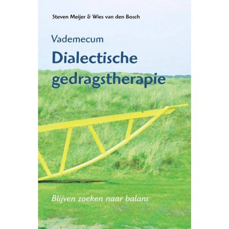 Foto van Vademecum dialectische gedragstherapie