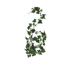 Foto van Groene hedera helix/klimop kunstplant 180 cm voor binnen - kunstplanten