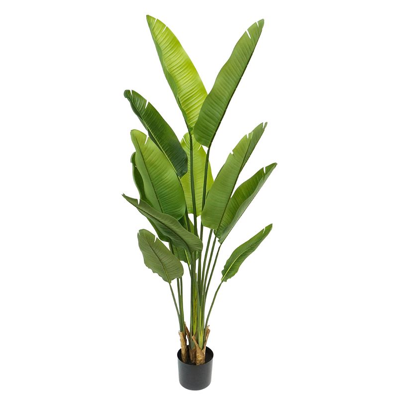 Foto van Strelitzia kunstplant 2 160cm