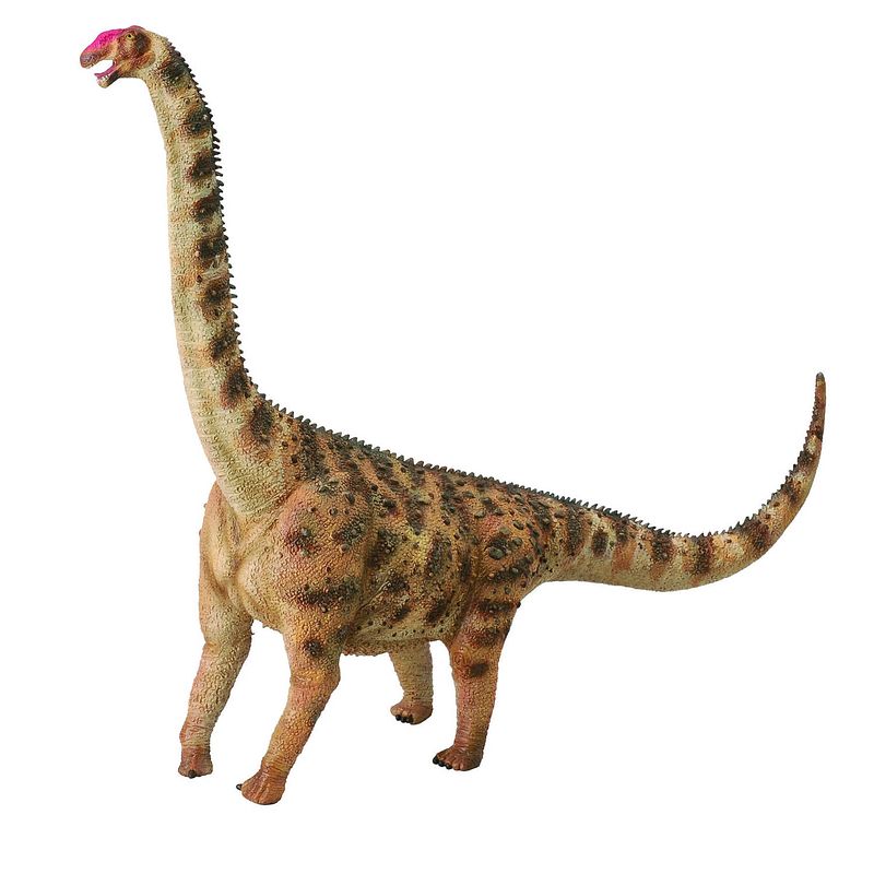 Foto van Collecta prehistorie: argentinosaurus