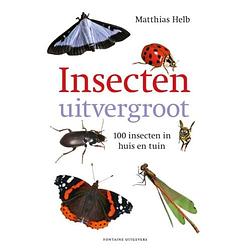 Foto van Insecten uitvergroot