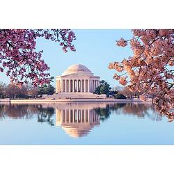 Foto van Inductiebeschermer - jefferson memorial - 60x60 cm