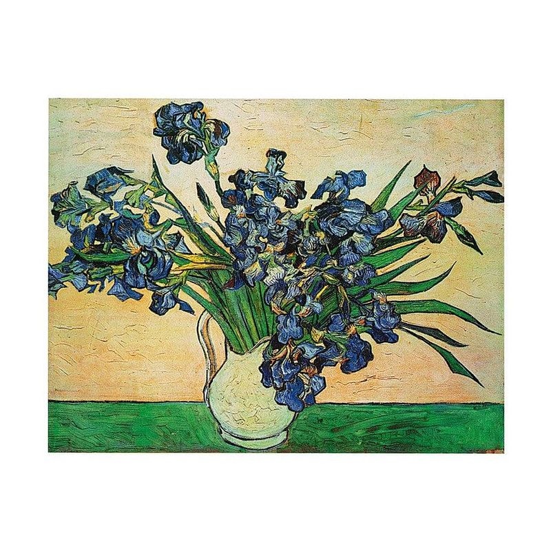 Foto van Vincent van gogh - iris strauss, 1890 kunstdruk 50x40cm