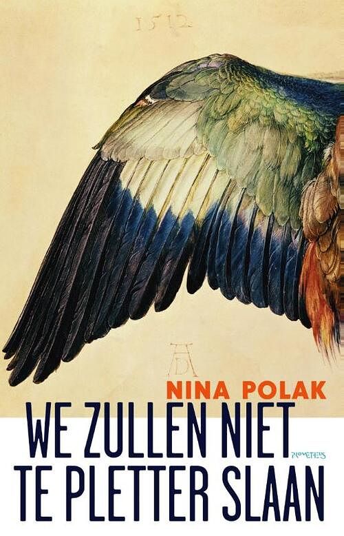 Foto van We zullen niet te pletter slaan - nina polak - ebook (9789044625813)