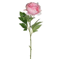 Foto van Mica kunstbloem pioenroos - roze - 76 cm - polyester - decoratie bloemen - kunstbloemen