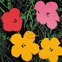 Foto van Andy warhol - flowers c. 1964 kunstdruk 60x60cm