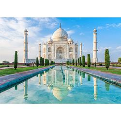 Foto van Inductiebeschermer - taj mahal - 30x52 cm