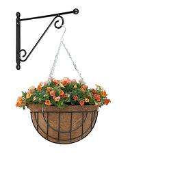 Foto van Hanging basket met muurhaak sierkrul groen en kokos inlegvel - metaal - complete hanging basket set - plantenbakken