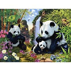 Foto van Diamond painting pakket panda's eten bamboe - volledig - full - 40x30 cm - seos shop ®