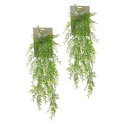 Foto van Louis maes kunstplanten - 2x - bamboe - groen - hangende takken bos van 175 cm - kunstplanten