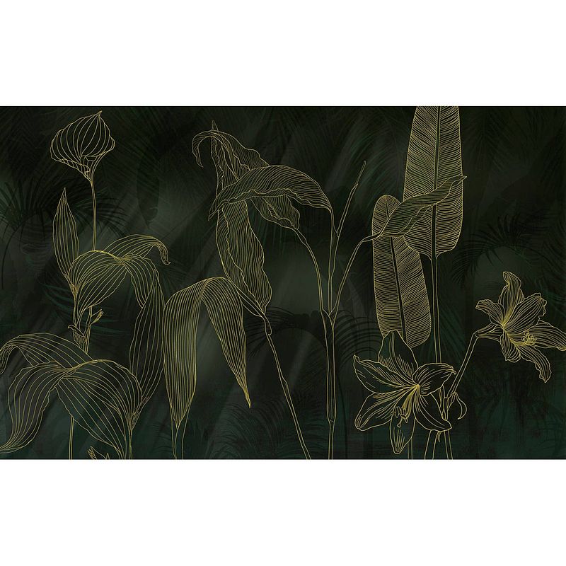 Foto van Fotobehang - darkest green 400x250cm - vliesbehang