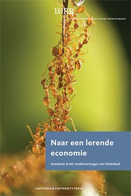 Foto van Naar een lerende economie - ebook (9789048522903)