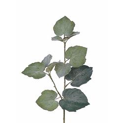 Foto van Kunstplant tilia bladgroen takken 50 cm groen - kunstbloemen