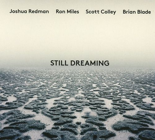 Foto van Still dreaming - cd (0075597933086)