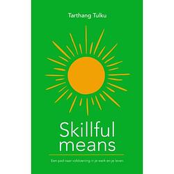 Foto van Skillful means - nyingma psychologie