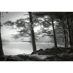 Foto van Wizard+genius forest lake vlies fotobehang 384x260cm 8-banen