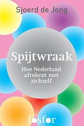 Foto van Spijtwraak - sjoerd de jong - ebook (9789462250994)