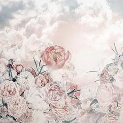 Foto van Komar blossom clouds vlies fotobehang 250x250cm 5-banen