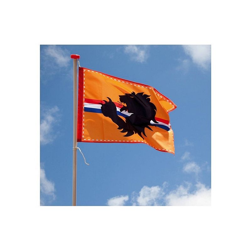 Foto van Gevelvlag oranje 90 x 60 cm - koningsdag - ek voetbal - formule 1