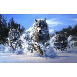 Foto van Diamond painting pakket wolven rennen in de sneeuw - volledig - full - 40x30cm - seos shop ®