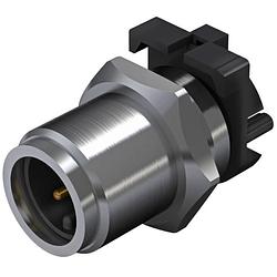 Foto van Weidmüller 2422580000 sensor/actuator steekconnector m12 aantal polen: 4 stekker, inbouw verticaal 10 stuk(s)